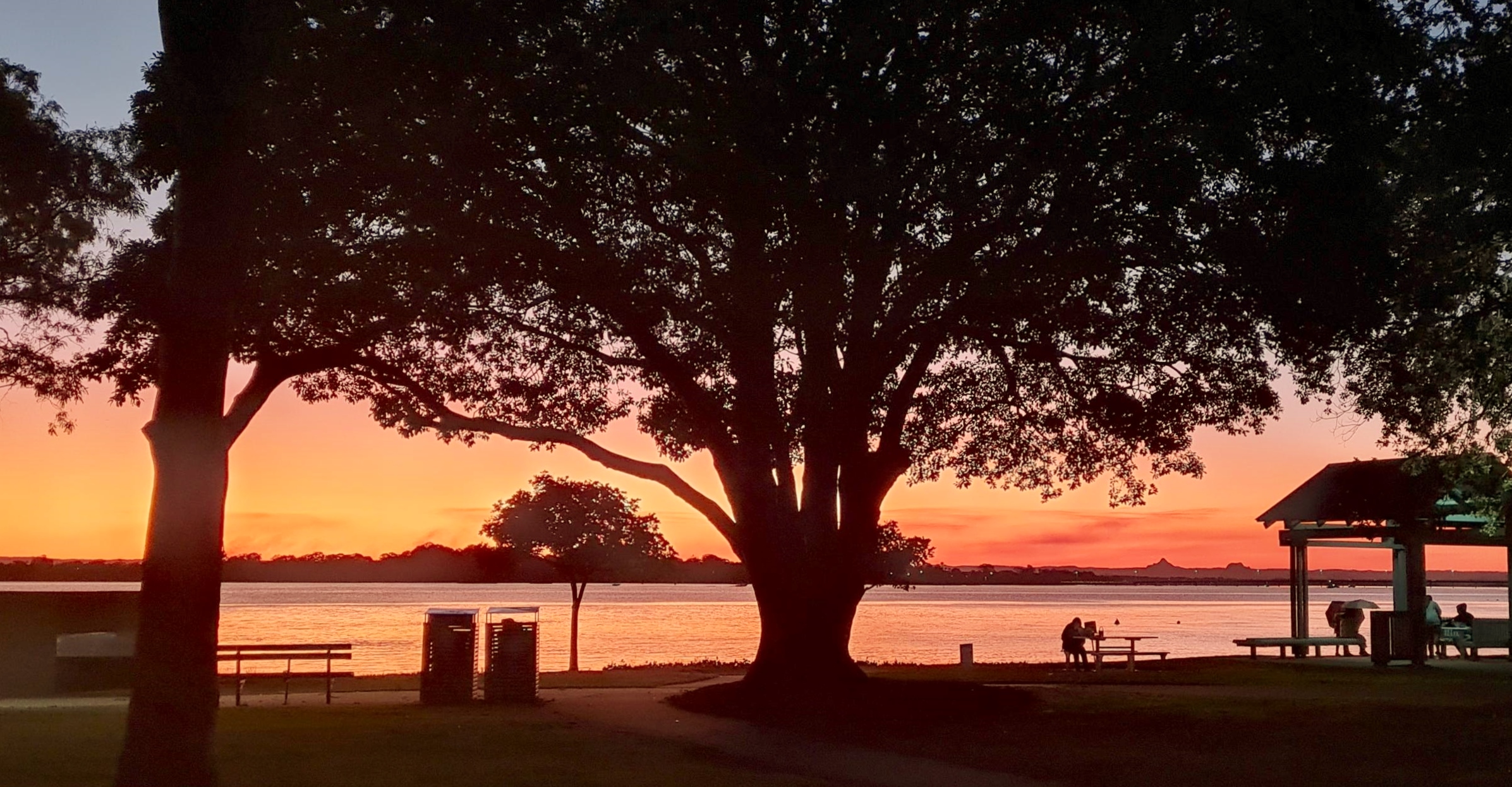 Tree silhouette sunset Bongaree foreshore