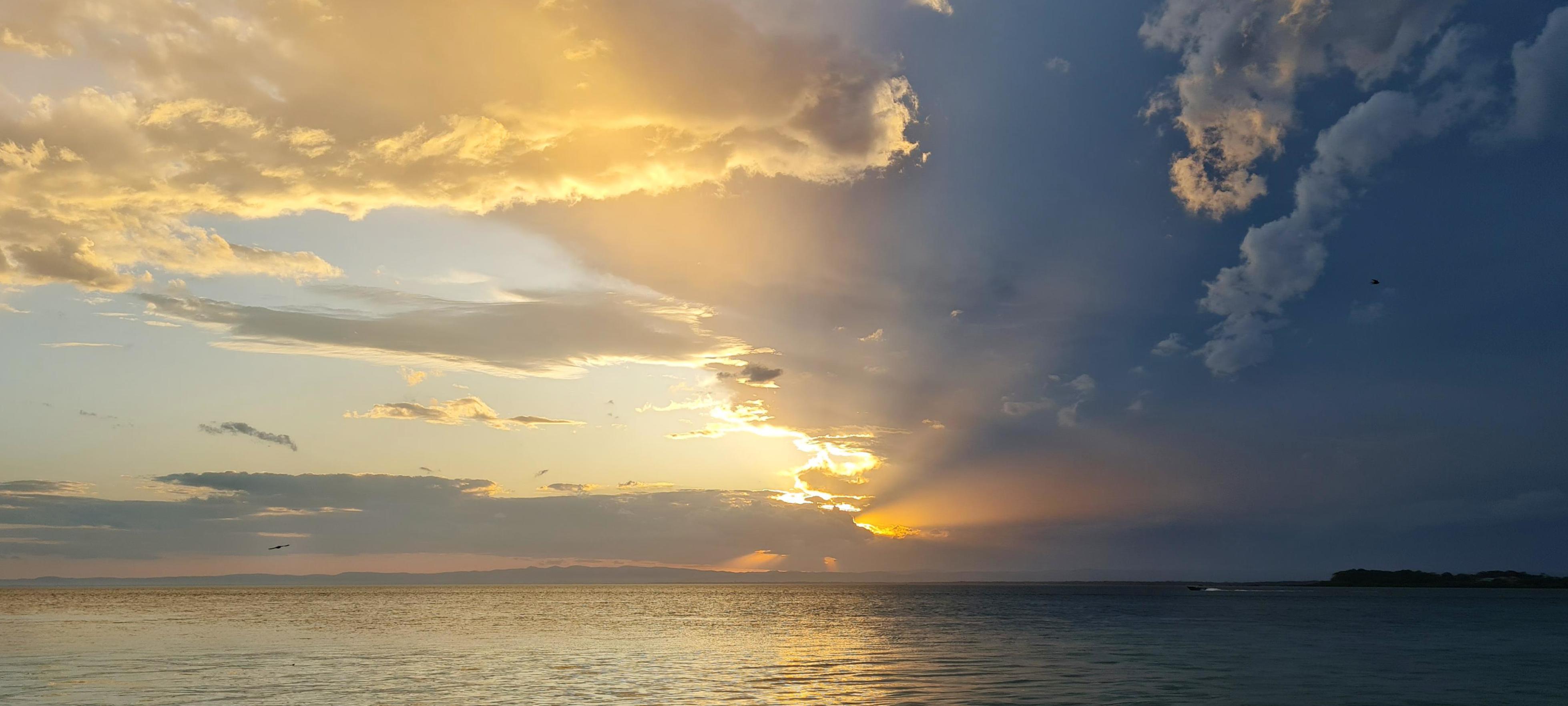 Storm meets golden hour pelican Pumicestone Passage